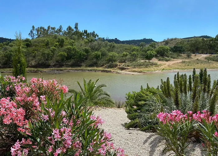 Вилла Casa Dos Amigos Сан-Бартоломеу-де-Мессинеш
